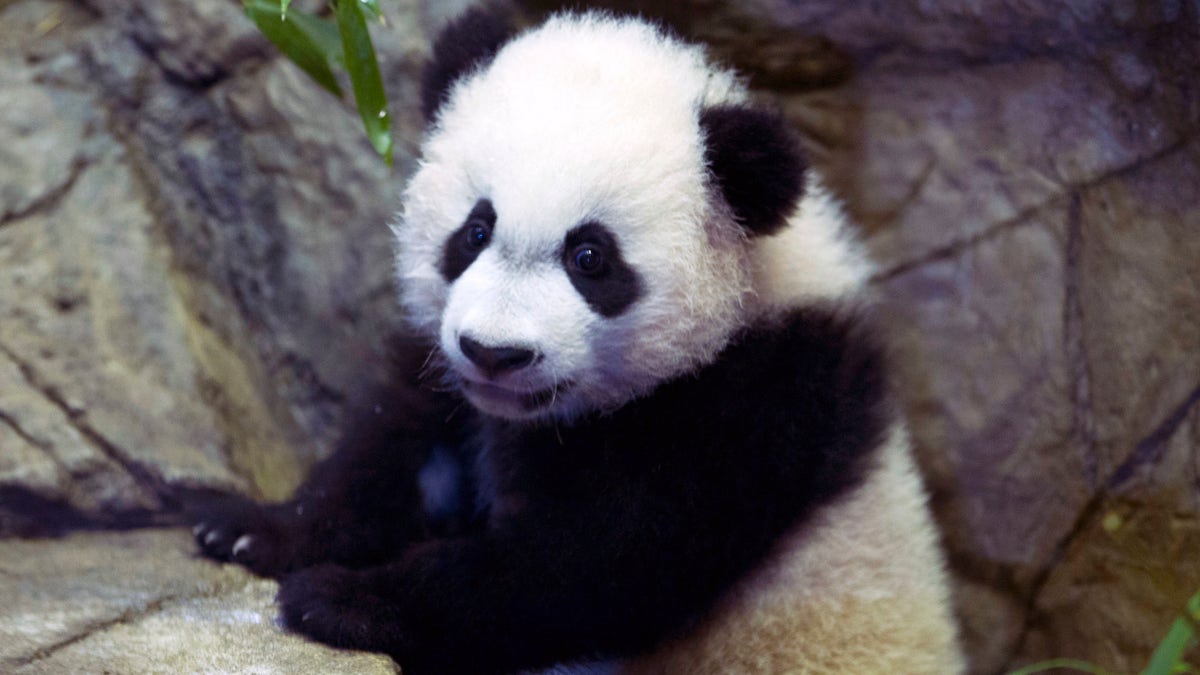 Bei Bei