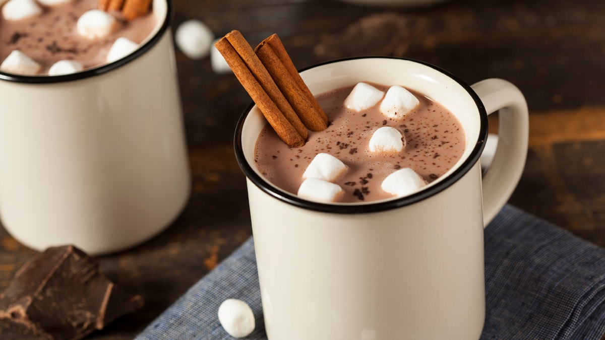 Gourmet Hot Chocolate Milk