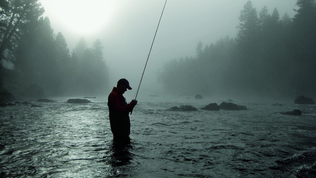 paws up fishing