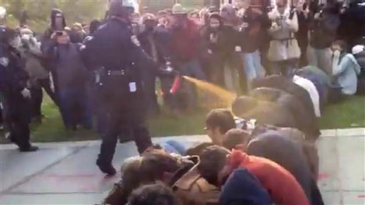 Occupy Protests Pepper Spray