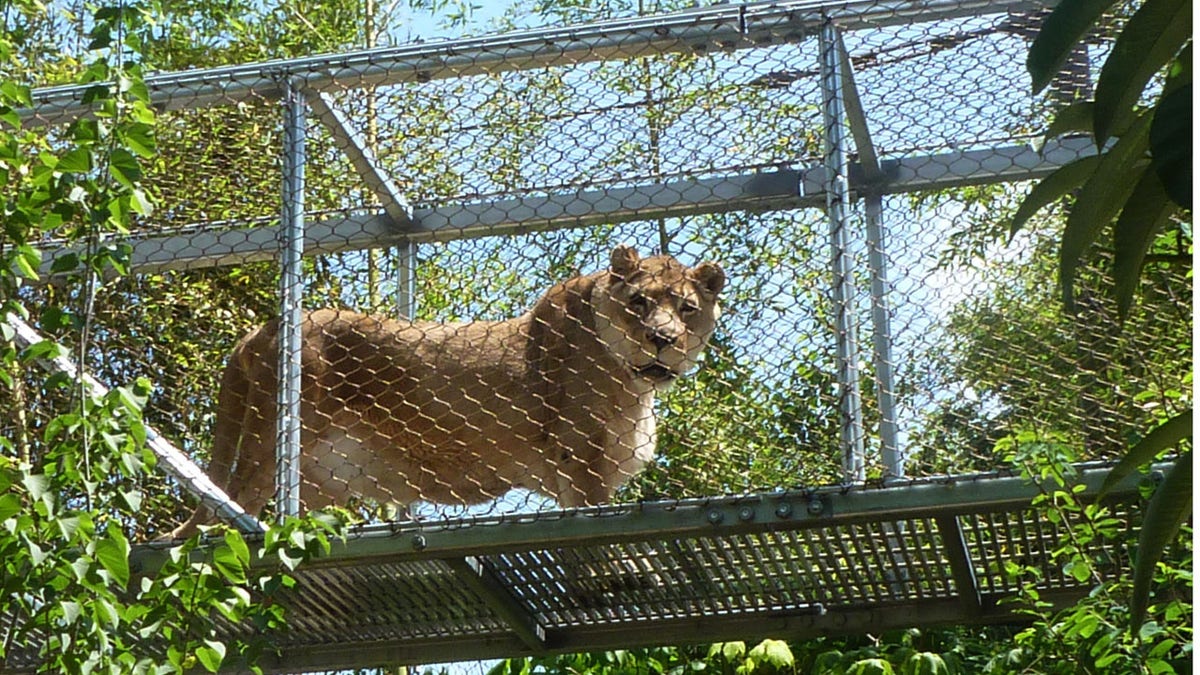 535c8400-zoo