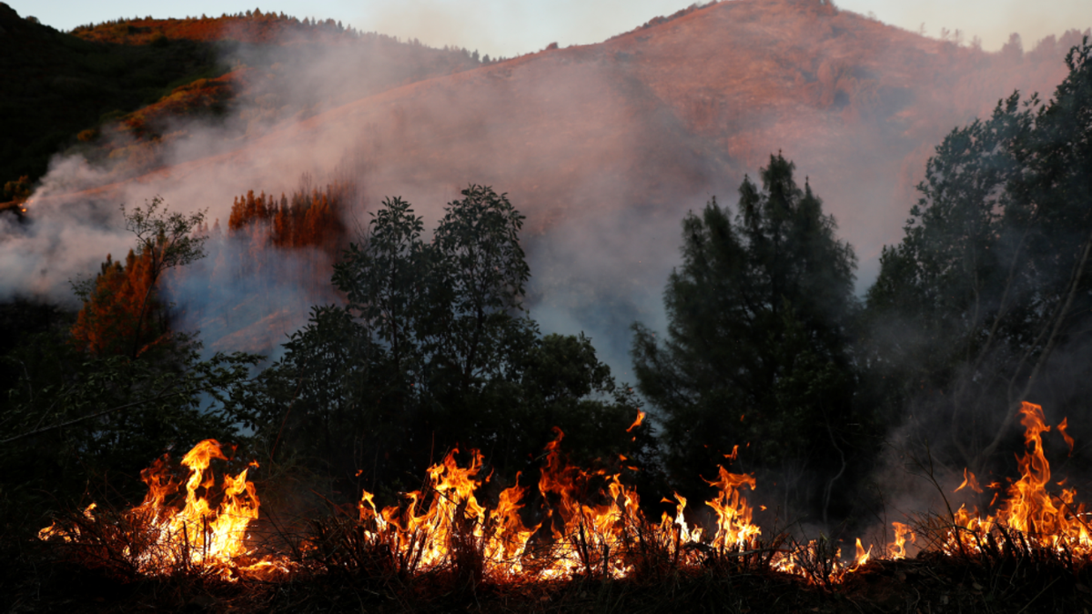 california wildfire reuters