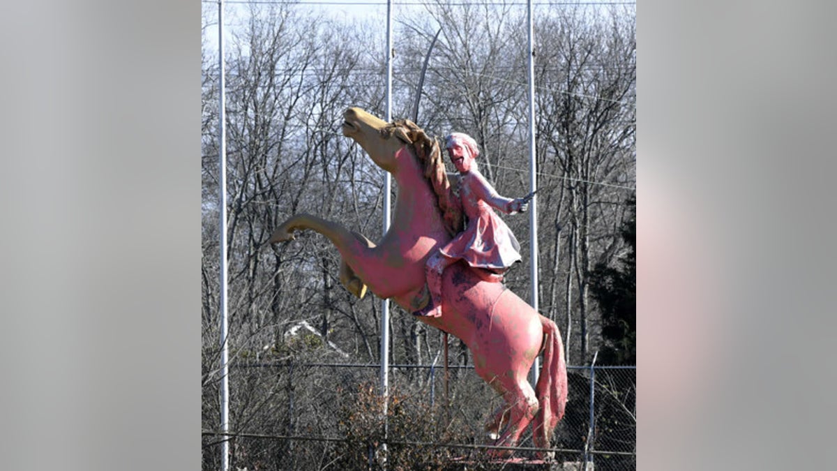 00c69eeb-pink confed statue