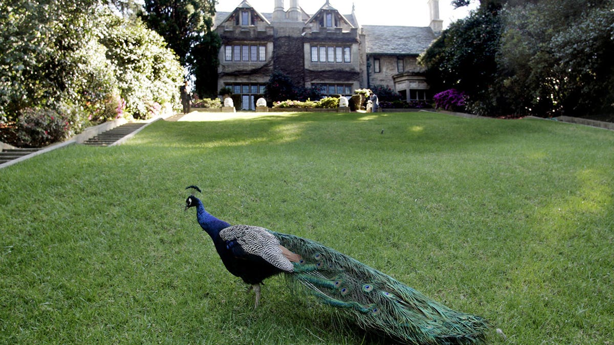 playboy mansion reuters 4