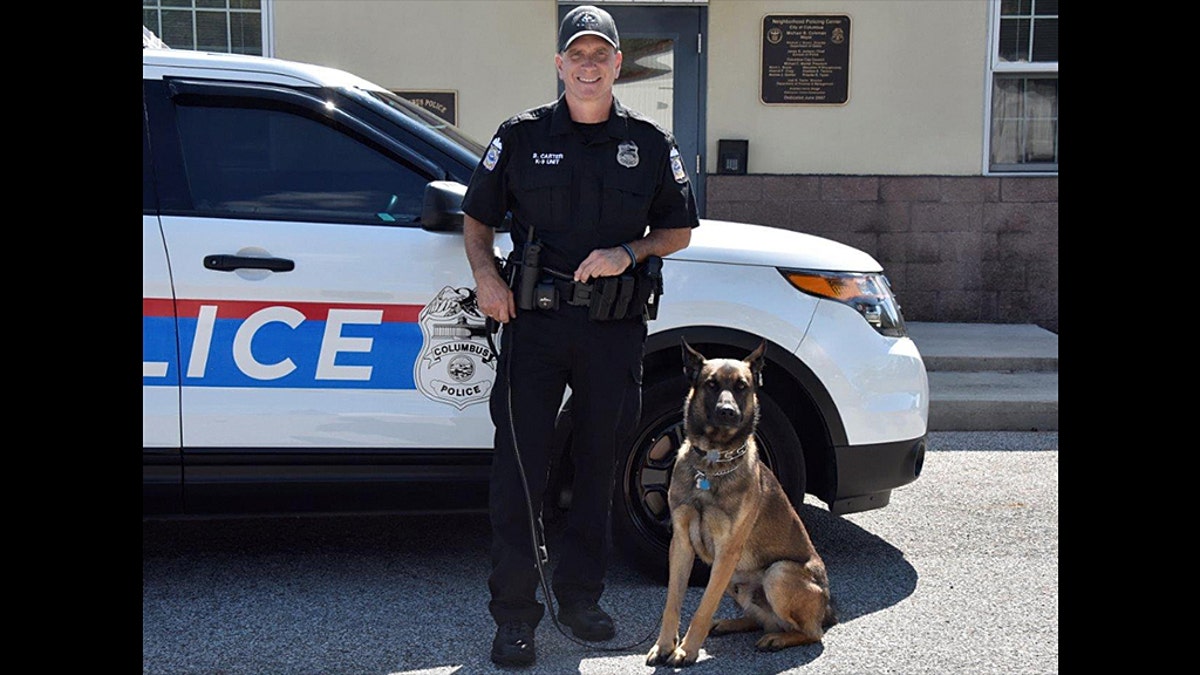 police dog columbus police dept