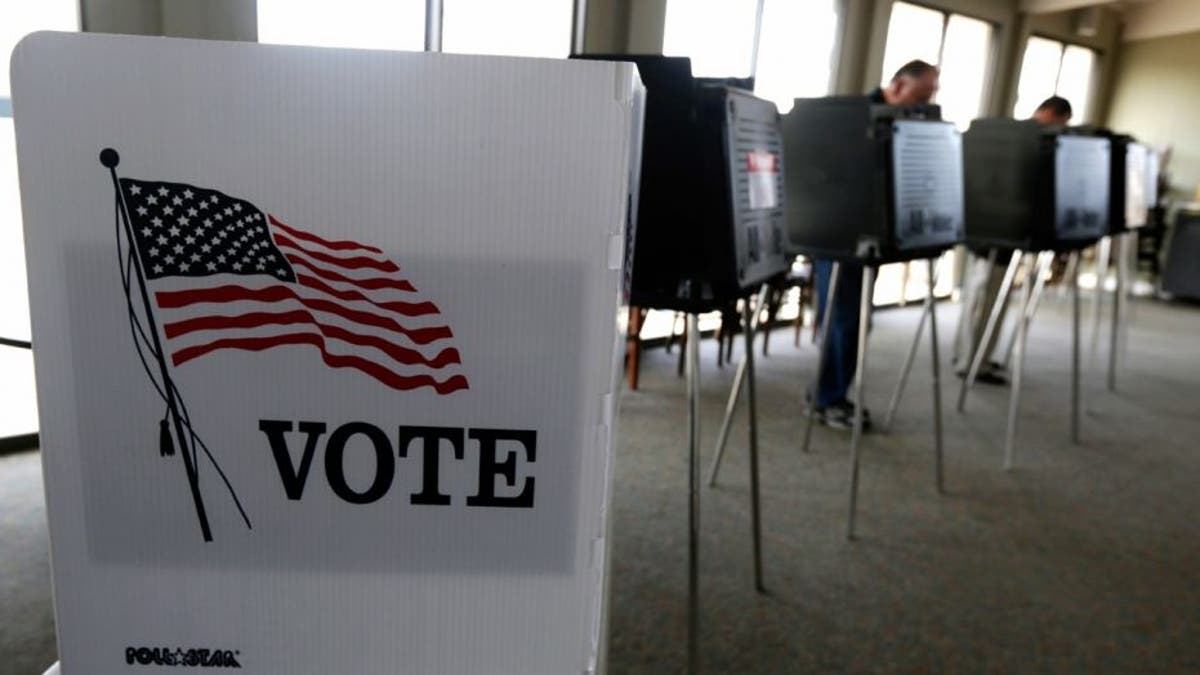 People voting at voting booths