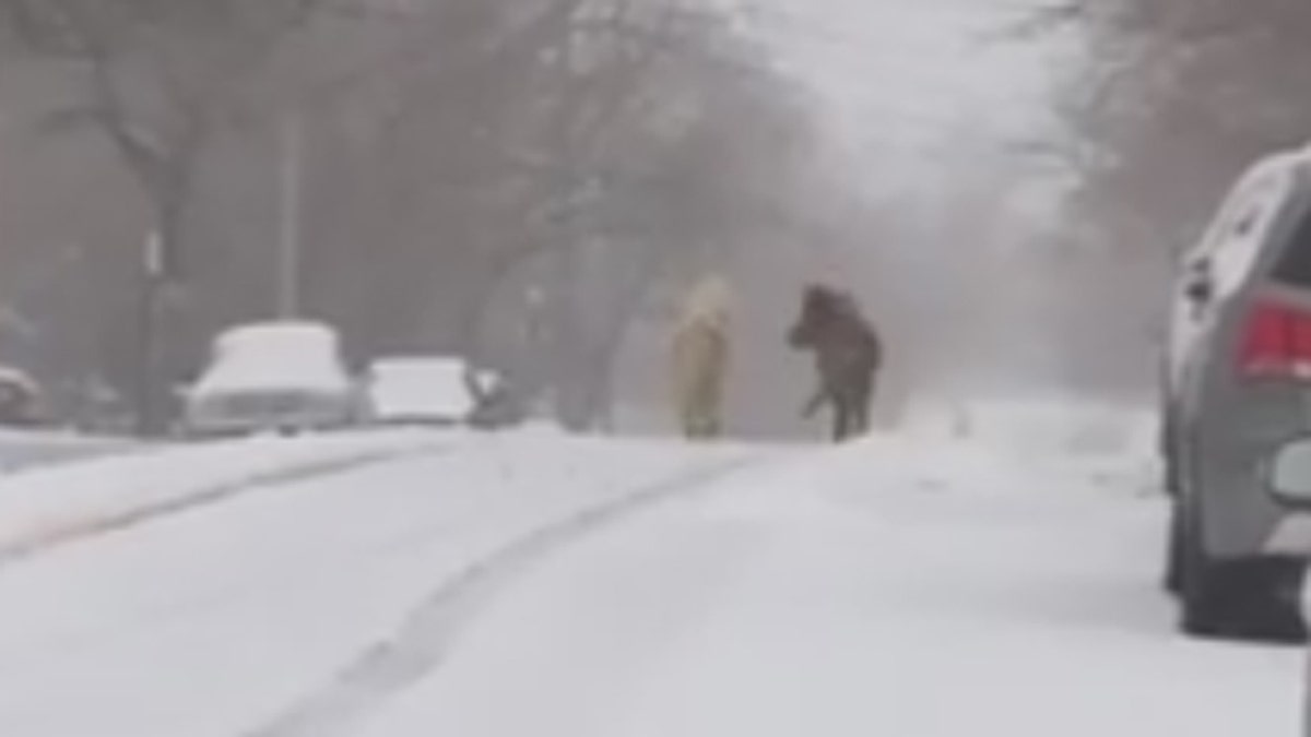 pony-snow