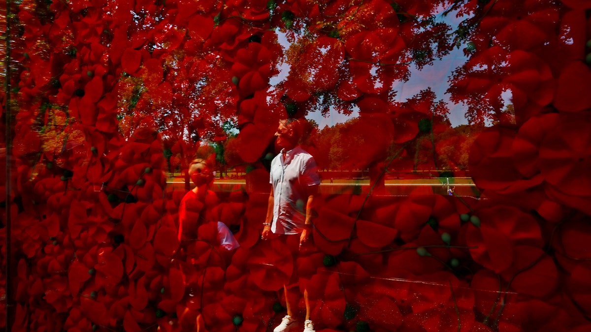 poppy memorial dc REUTERS