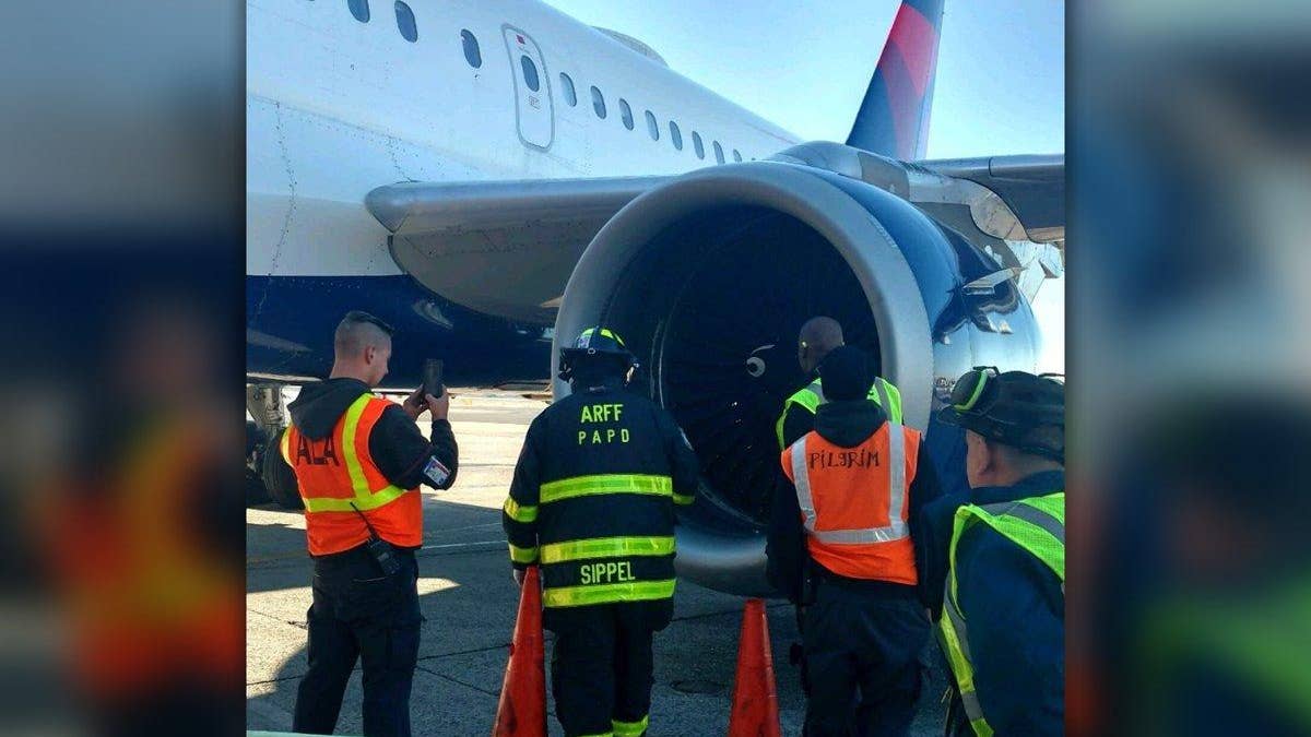 Port authority police bird strike