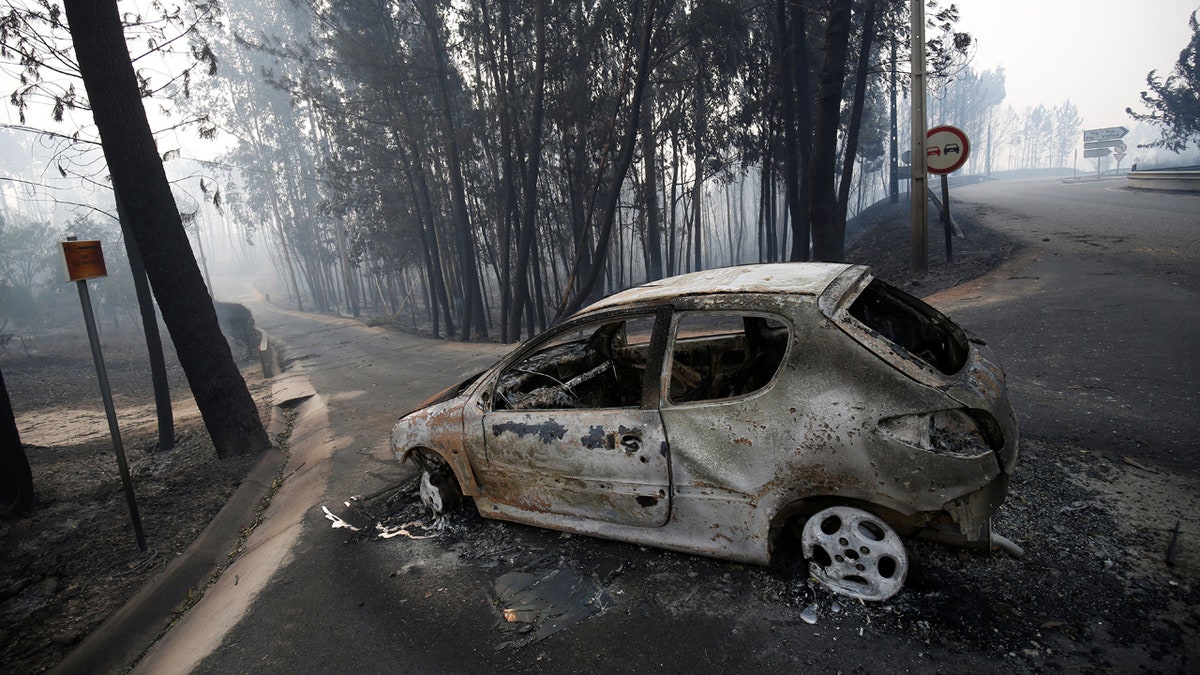 Portugal WildFire Aftermath