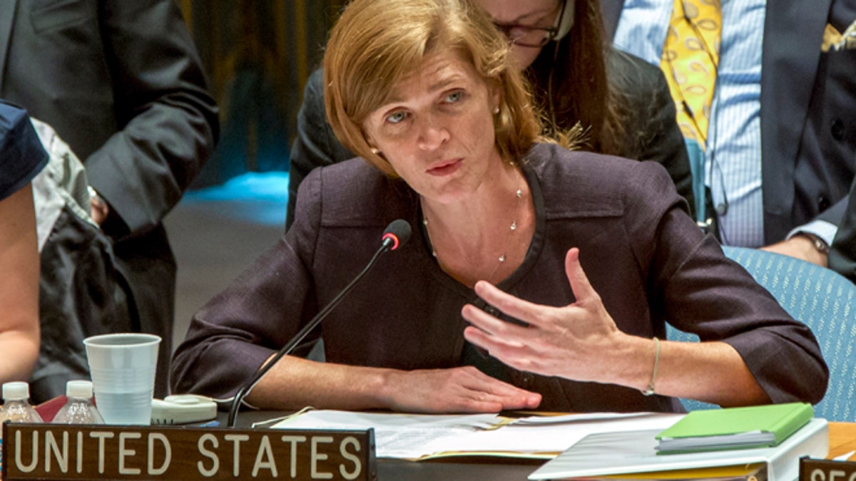 UN Ambassador