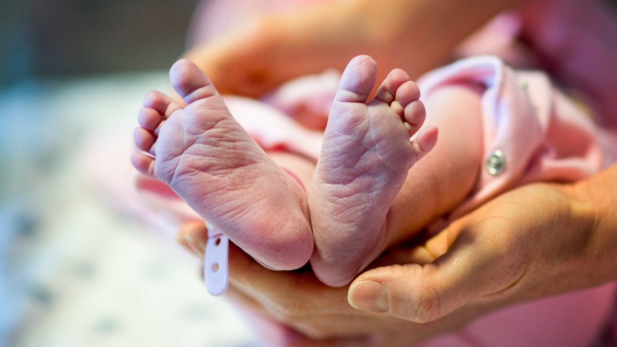 preemie feet istock large