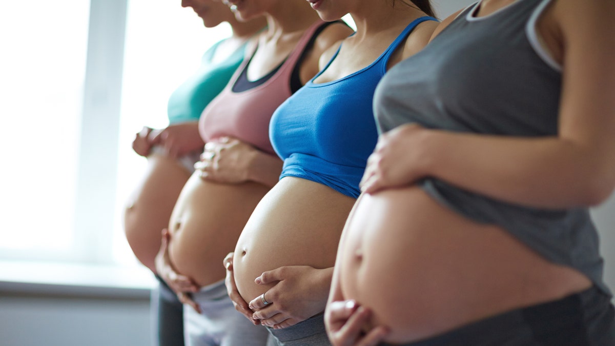 Young pregnant women standing in row