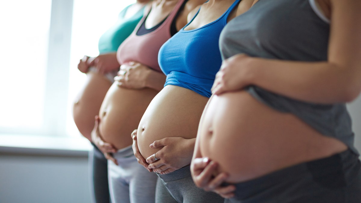 Young pregnant women standing in row