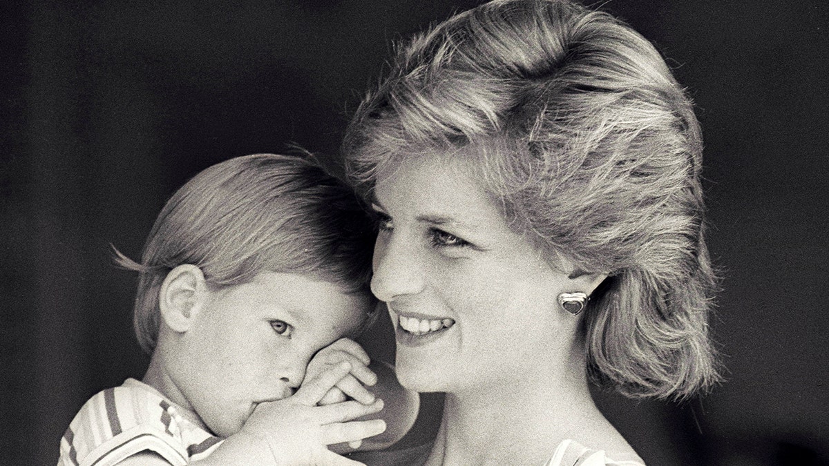 FILE PHOTO - Britain's Princess Diana holds Prince Harry during a morning picture session at Marivent Palace, where the Prince and Princess of Wales are holidaying as guests of King Juan Carlos and Queen Sofia, in Mallorca, Spain August 9, 1988.    REUTERS/Hugh Peralta/File Photo - RTX2XMBU