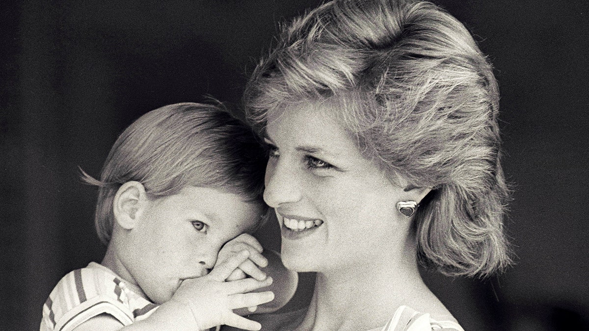 FILE PHOTO - Britain's Princess Diana holds Prince Harry during a morning picture session at Marivent Palace, where the Prince and Princess of Wales are holidaying as guests of King Juan Carlos and Queen Sofia, in Mallorca, Spain August 9, 1988.    REUTERS/Hugh Peralta/File Photo - RTX2XMBU