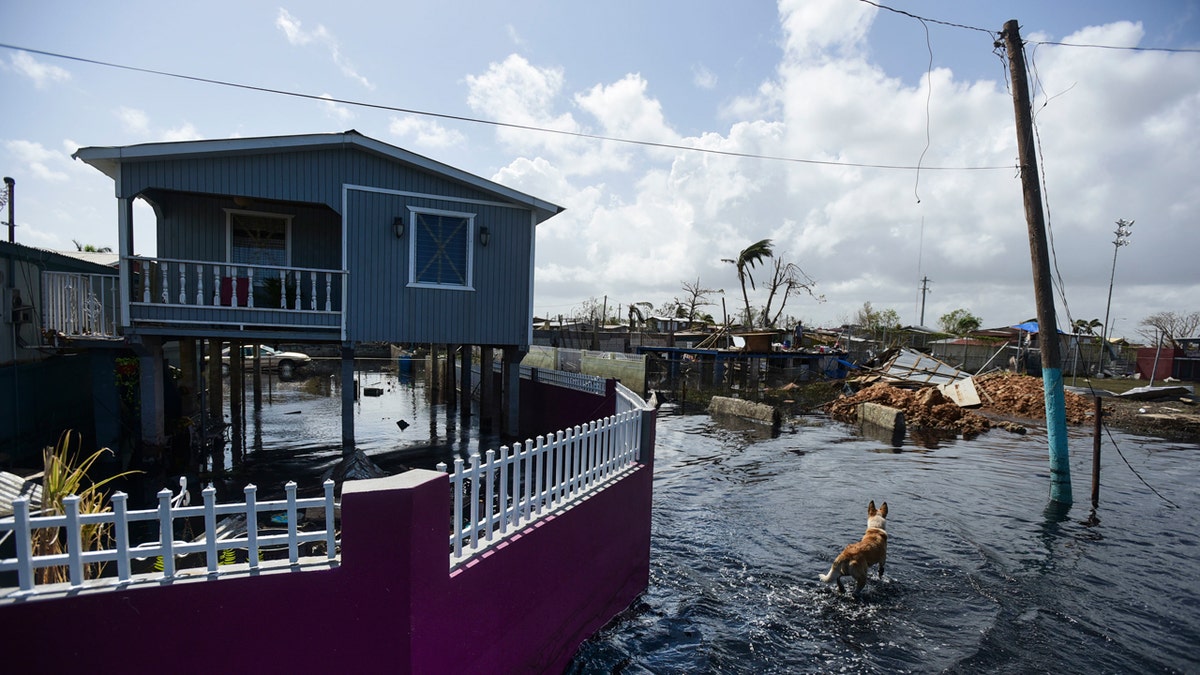 Puerto Rico Huricane Maria FBN