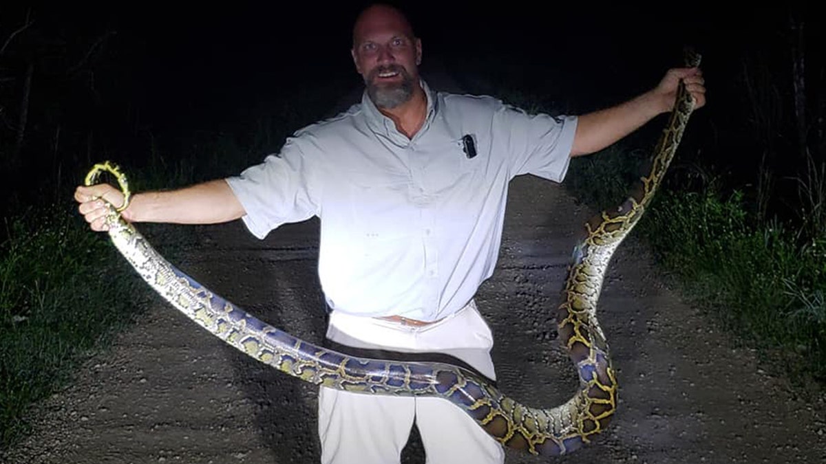 Jack Hubbard catches a Python