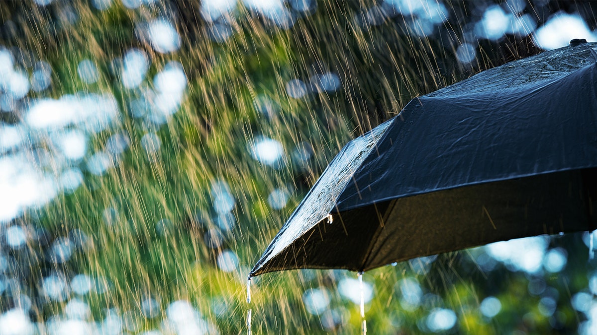 rainig istock