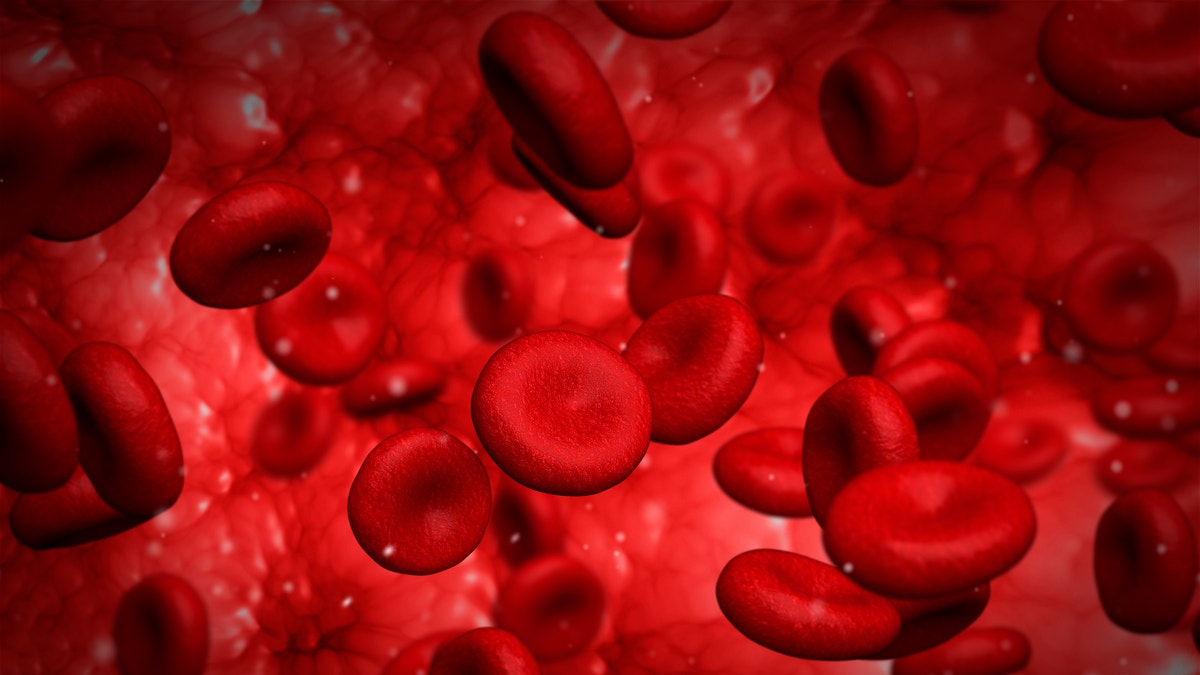 red blood cells istock large