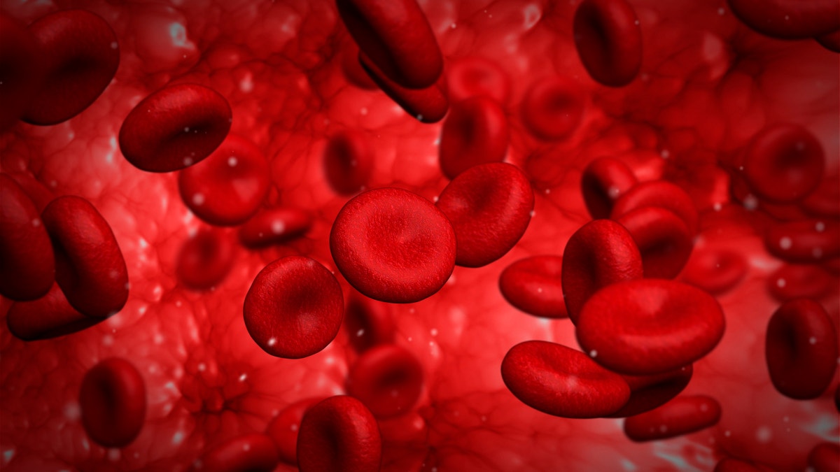 red blood cells istock large