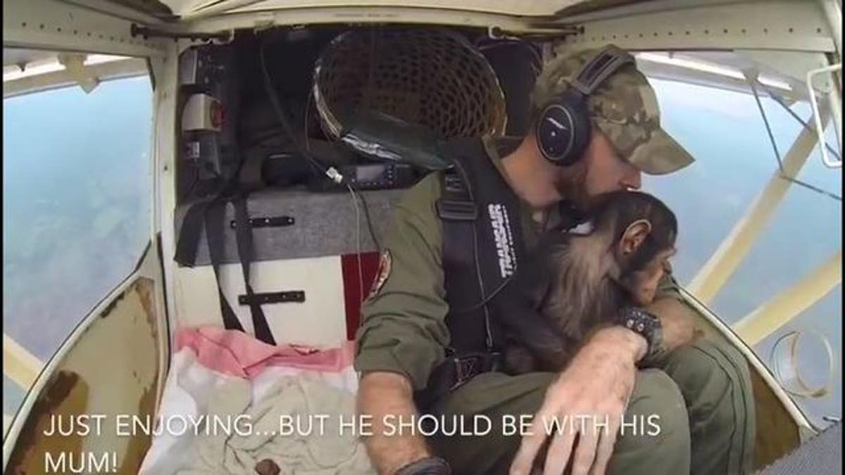 chimp rescue 34a