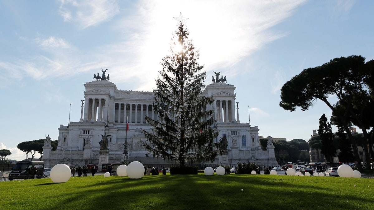 Rome Tree