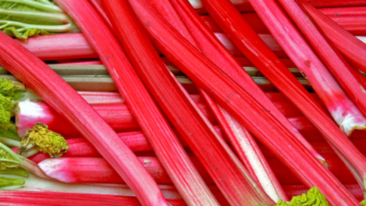 Rhubarb