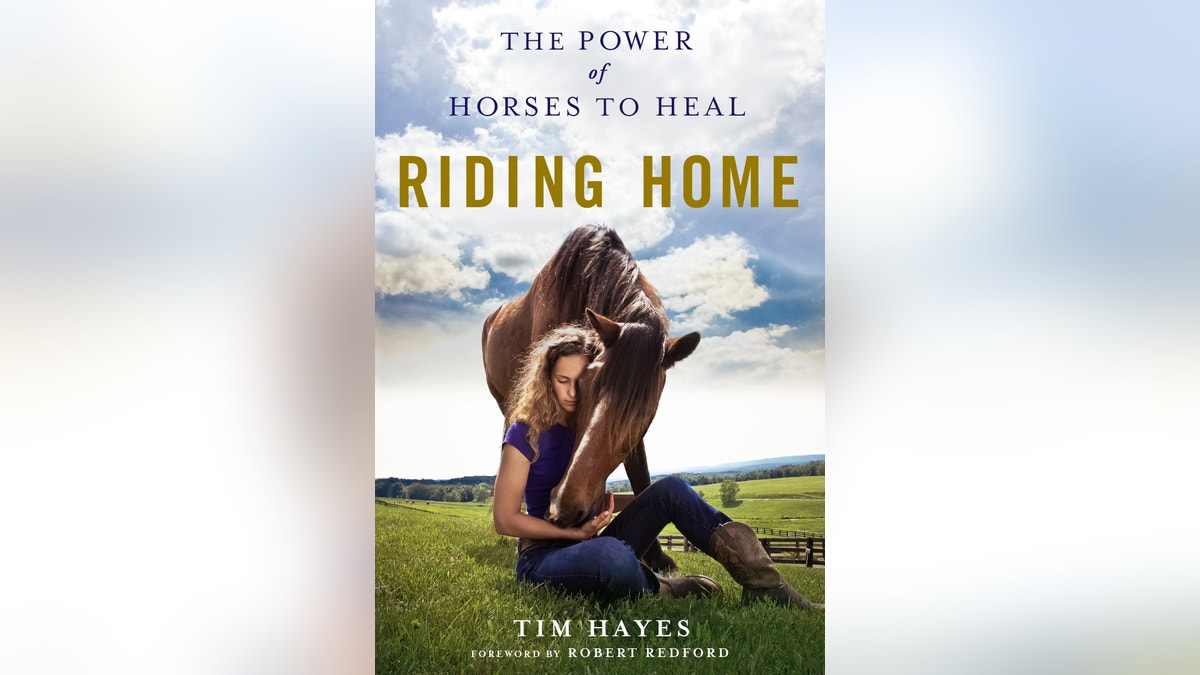 Tim Hayes book cover