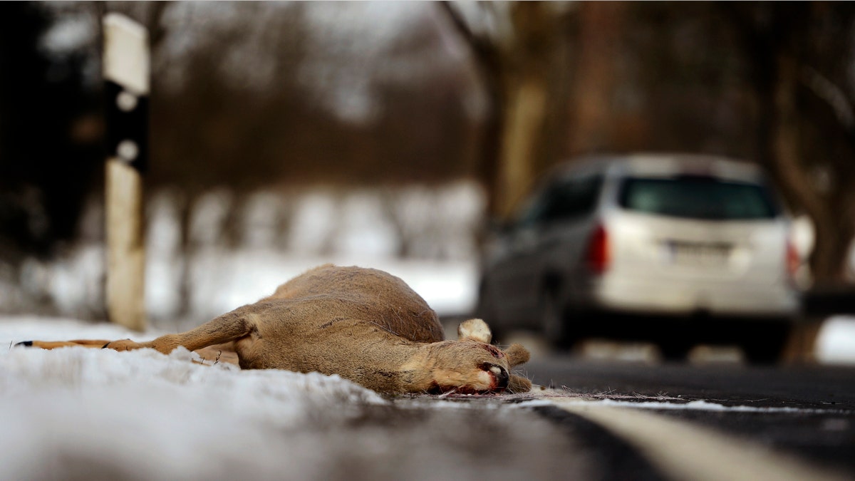 158960505TL00001_ROAD_ACCID