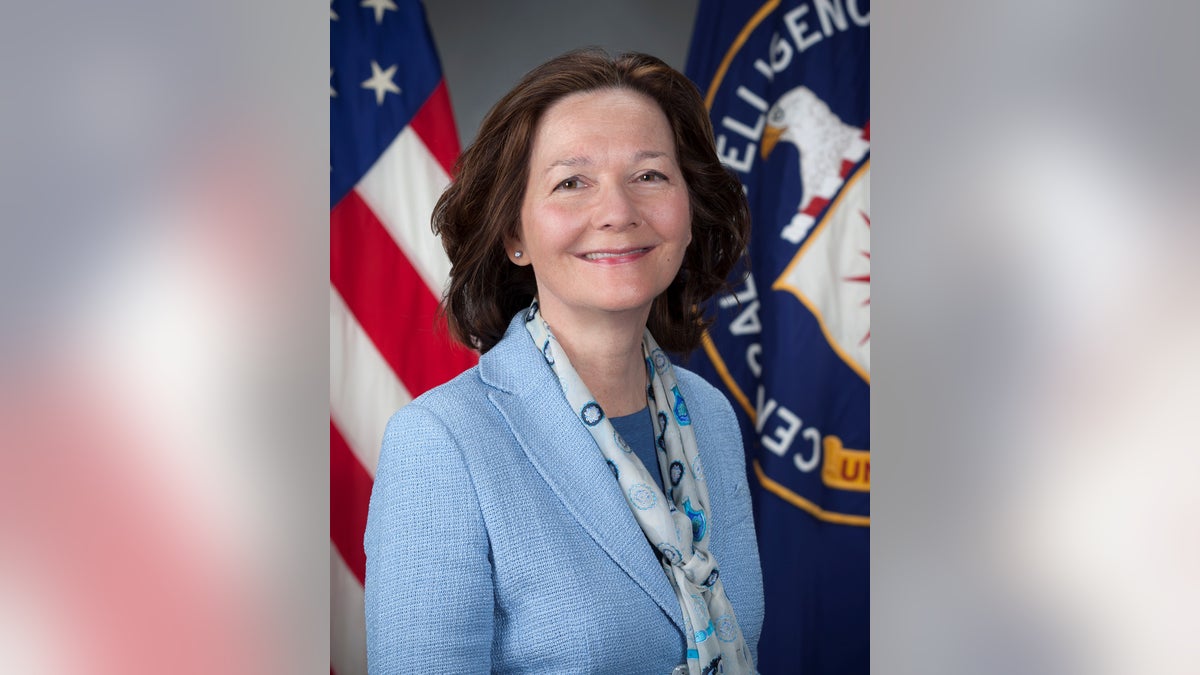 USA-TRUMP/HASPEL