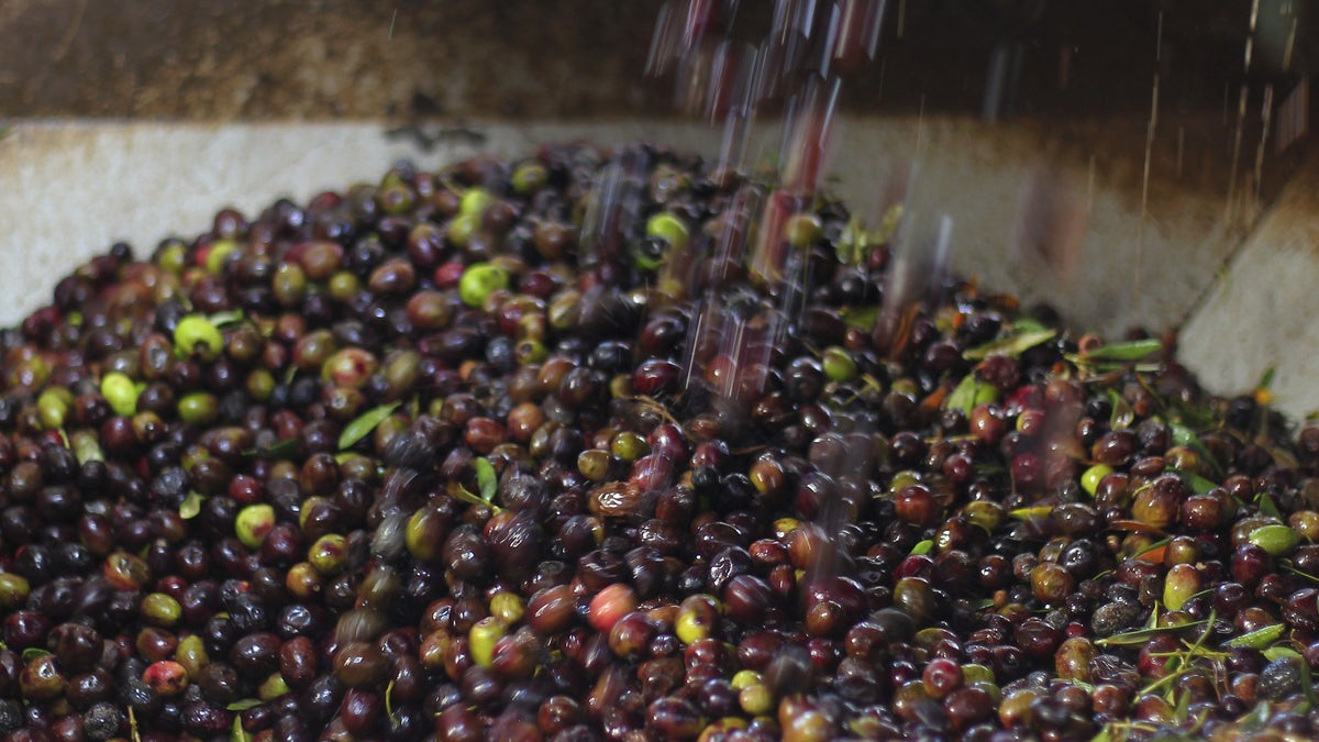 Olives are poured into a grinding machine before they are pressed to be made into oil, at Zamzam olive press factory in the western province of Idlib, Syria November 19, 2015. The factory produces around 12,000 liters of olive oil on a daily basis, throughout a month-and-a-half of production. REUTERS/Ammar Abdullah - RTS7WN3