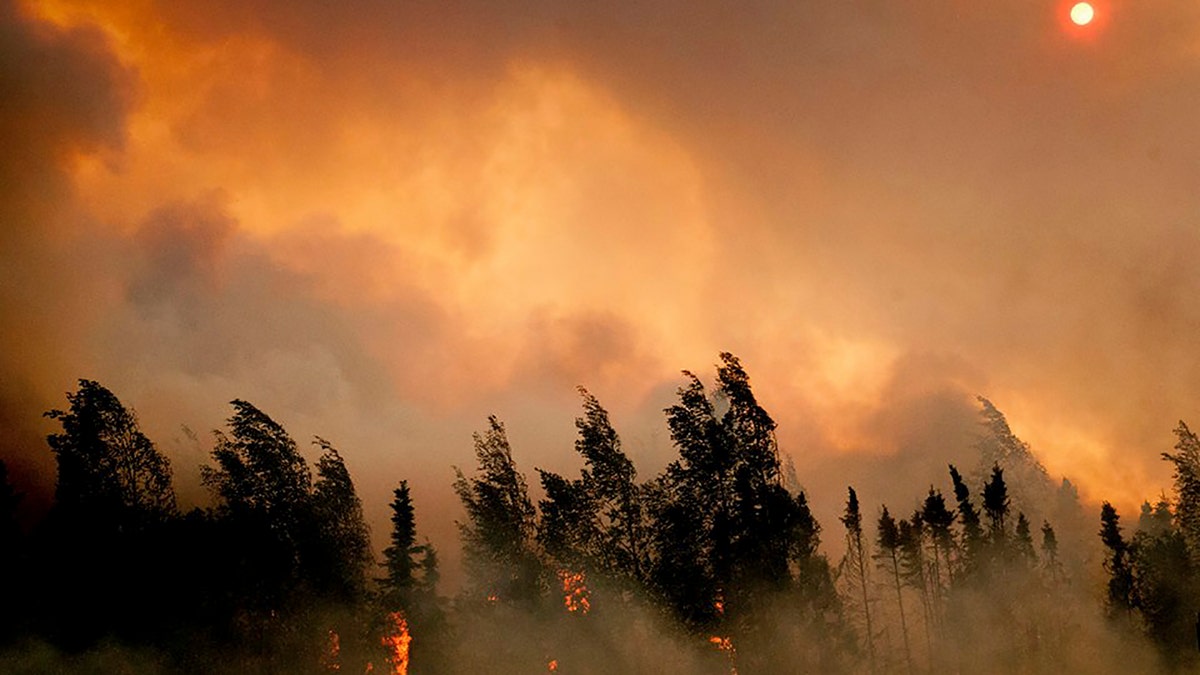 USA-ALASKA/WILDFIRE