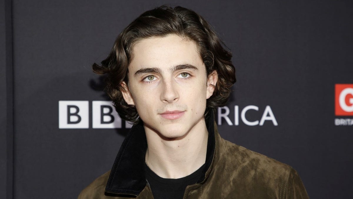 Actor Timothee Chalamet