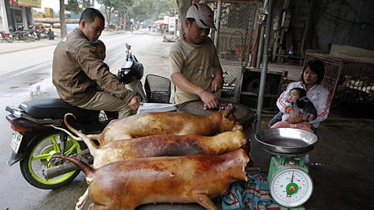 Chinese cooking dogs and clearance cats