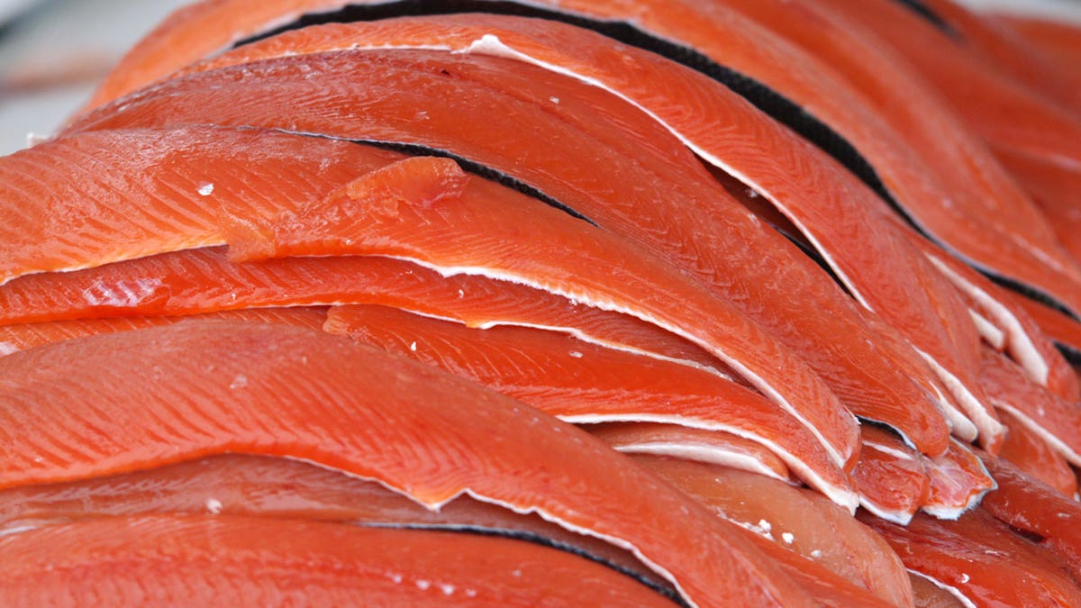 salmon wild istock