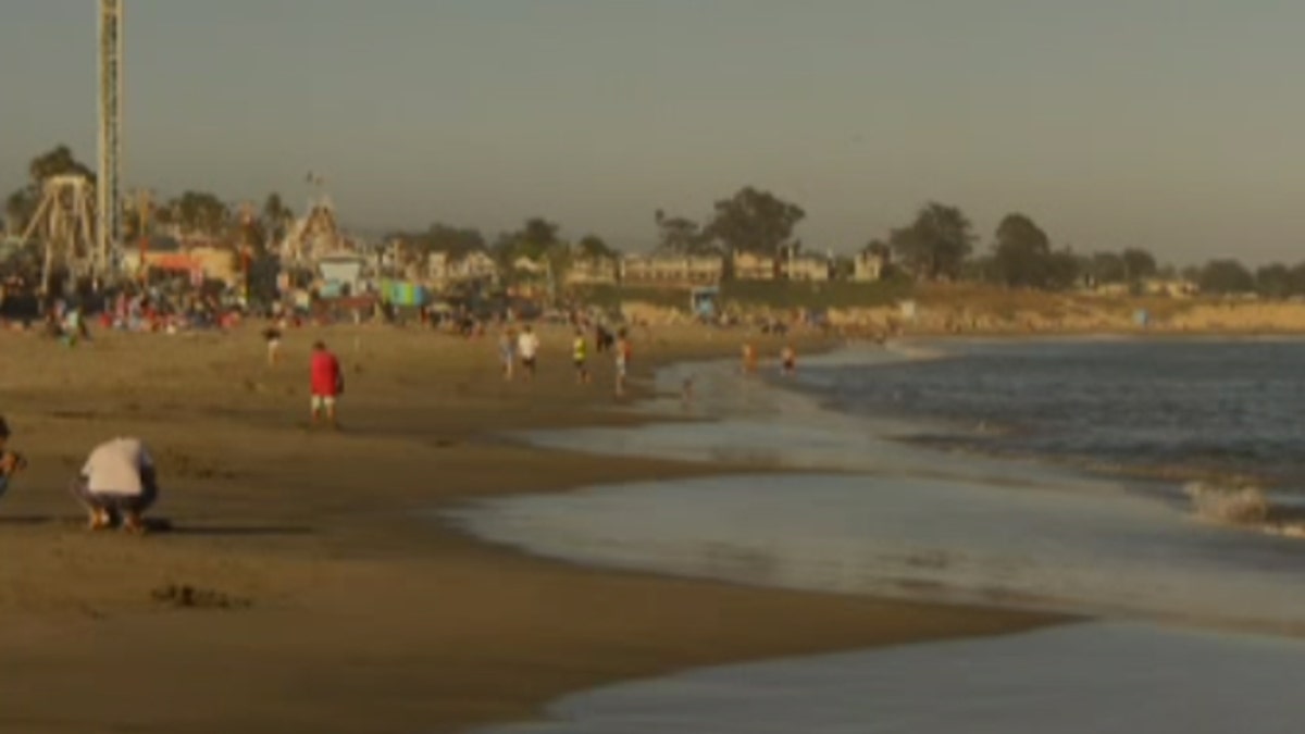 santa cruz beach shark