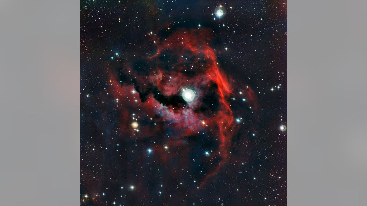 Close-up view of the head of the Seagull Nebula