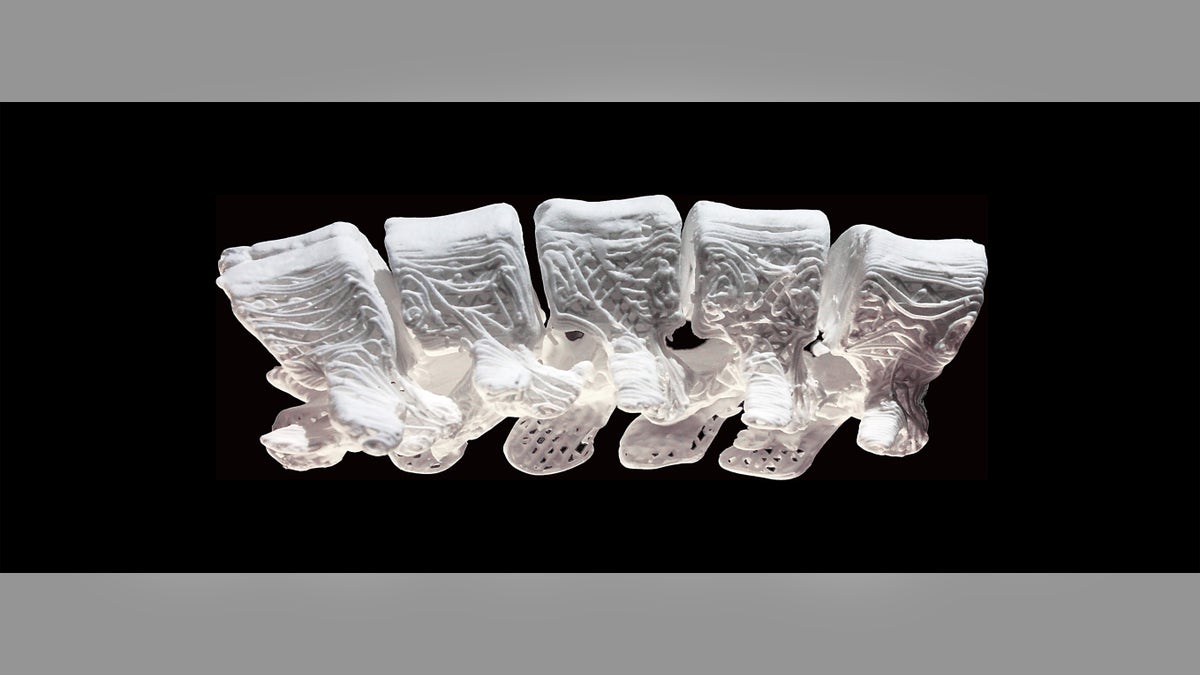 A cross-section of a 3-D printed adult human femur (image courtesy Northwestern University)