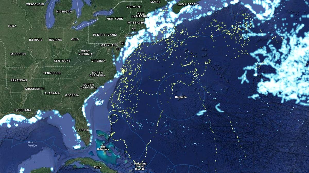 shark map capture oceana
