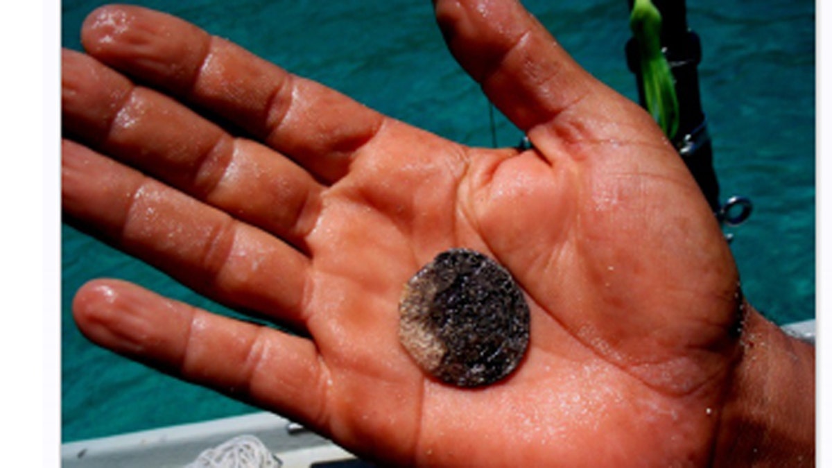 Penjelajah laut dalam Amerika harus mengembalikan harta senilai 0 juta ke Spanyol