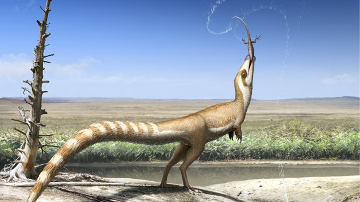 sinosauropteryx