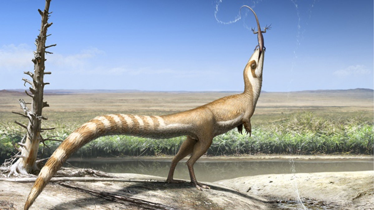 sinosauropteryx