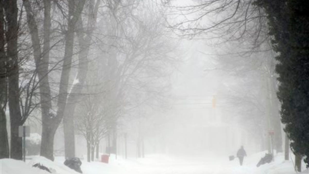 56db3d03-Winter Weather Michigan