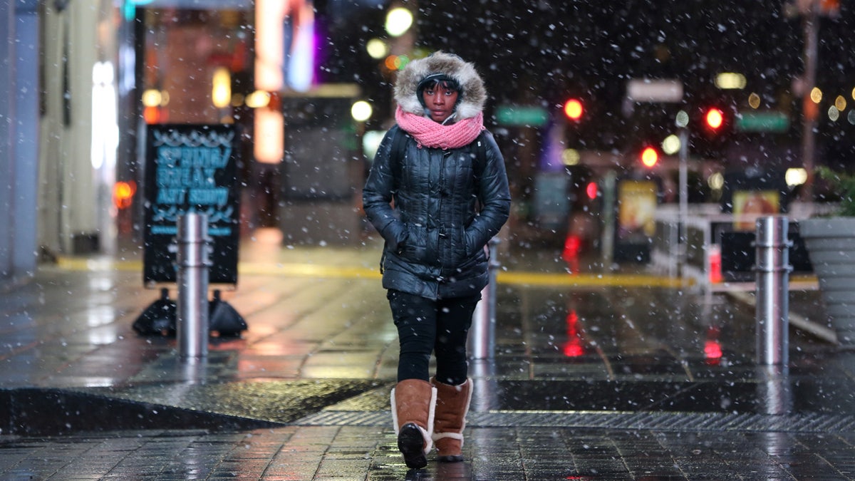 New York Snow 1