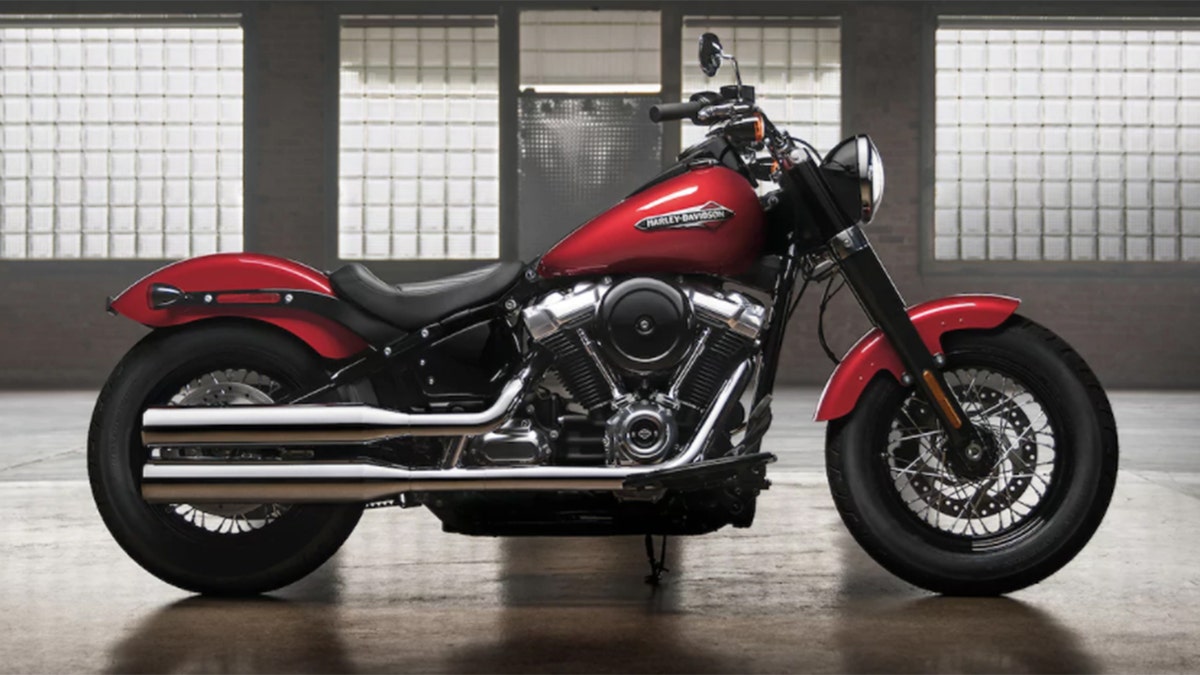 The most cheap expensive harley davidson