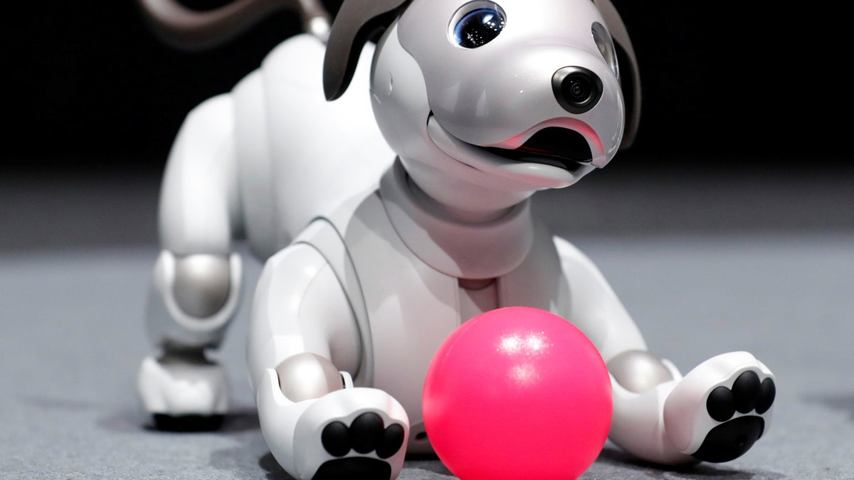 Robot store sony aibo