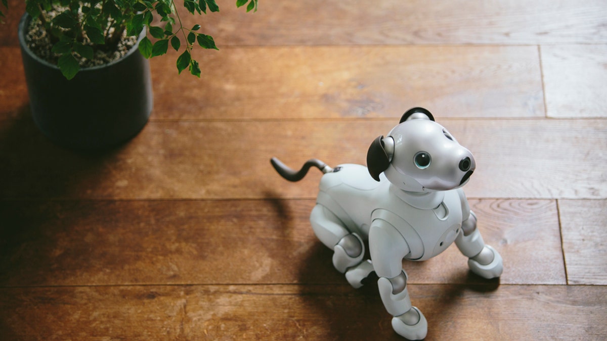 sony aibo 3