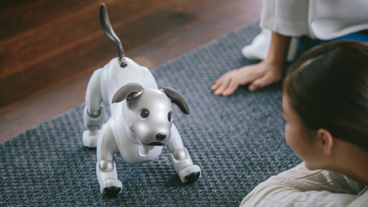 sony aibo 2