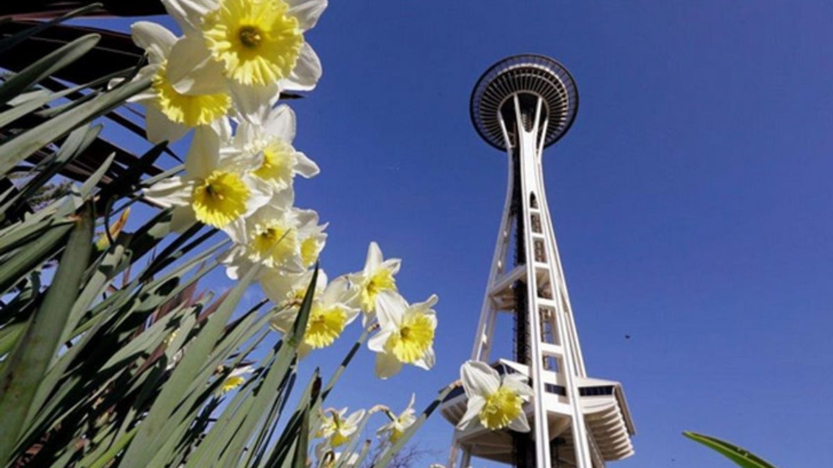 spaceneedlepic